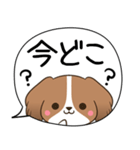 でか文字♦災害安否用♦コイケルのスタンプ（個別スタンプ：20）