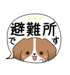 でか文字♦災害安否用♦コイケルのスタンプ（個別スタンプ：21）