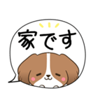 でか文字♦災害安否用♦コイケルのスタンプ（個別スタンプ：24）