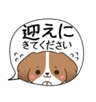 でか文字♦災害安否用♦コイケルのスタンプ（個別スタンプ：25）