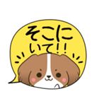 でか文字♦災害安否用♦コイケルのスタンプ（個別スタンプ：26）