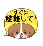 でか文字♦災害安否用♦コイケルのスタンプ（個別スタンプ：27）