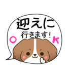 でか文字♦災害安否用♦コイケルのスタンプ（個別スタンプ：28）