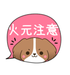 でか文字♦災害安否用♦コイケルのスタンプ（個別スタンプ：29）