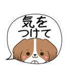 でか文字♦災害安否用♦コイケルのスタンプ（個別スタンプ：30）