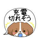 でか文字♦災害安否用♦コイケルのスタンプ（個別スタンプ：31）