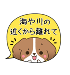 でか文字♦災害安否用♦コイケルのスタンプ（個別スタンプ：33）