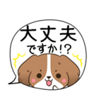 でか文字♦災害安否用♦コイケルのスタンプ（個別スタンプ：34）