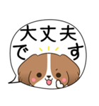 でか文字♦災害安否用♦コイケルのスタンプ（個別スタンプ：35）