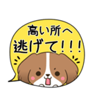 でか文字♦災害安否用♦コイケルのスタンプ（個別スタンプ：36）