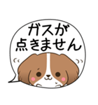 でか文字♦災害安否用♦コイケルのスタンプ（個別スタンプ：37）