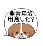 でか文字♦災害安否用♦コイケルのスタンプ（個別スタンプ：38）