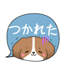 でか文字♦災害安否用♦コイケルのスタンプ（個別スタンプ：39）