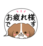 でか文字♦災害安否用♦コイケルのスタンプ（個別スタンプ：40）