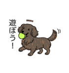 名前入りダックスロングレッドブリンドル（個別スタンプ：1）