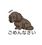 名前入りダックスロングレッドブリンドル（個別スタンプ：2）