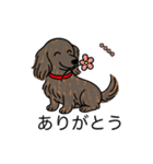 名前入りダックスロングレッドブリンドル（個別スタンプ：5）