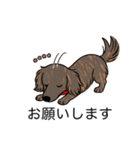 名前入りダックスロングレッドブリンドル（個別スタンプ：7）