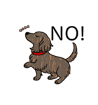 名前入りダックスロングレッドブリンドル（個別スタンプ：8）