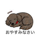 名前入りダックスロングレッドブリンドル（個別スタンプ：9）