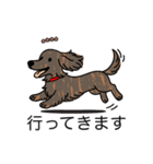 名前入りダックスロングレッドブリンドル（個別スタンプ：13）