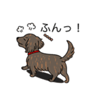 名前入りダックスロングレッドブリンドル（個別スタンプ：14）