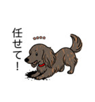 名前入りダックスロングレッドブリンドル（個別スタンプ：15）