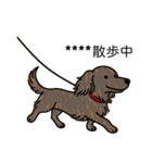 名前入りダックスロングレッドブリンドル（個別スタンプ：17）