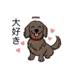 名前入りダックスロングレッドブリンドル（個別スタンプ：18）