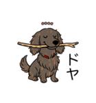 名前入りダックスロングレッドブリンドル（個別スタンプ：21）