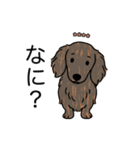 名前入りダックスロングレッドブリンドル（個別スタンプ：22）