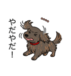 名前入りダックスロングレッドブリンドル（個別スタンプ：23）