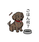 名前入りダックスロングレッドブリンドル（個別スタンプ：24）