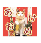 大人お洒落な煌めく年末年始（個別スタンプ：6）