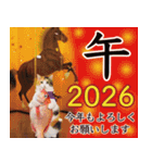大人お洒落な煌めく年末年始（個別スタンプ：11）