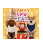 大人お洒落な煌めく年末年始（個別スタンプ：14）