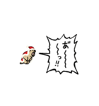 ▶︎動く！叫ぶマーモット【サンタver.】（個別スタンプ：1）