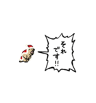 ▶︎動く！叫ぶマーモット【サンタver.】（個別スタンプ：12）
