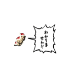 ▶︎動く！叫ぶマーモット【サンタver.】（個別スタンプ：13）