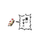 ▶︎動く！叫ぶマーモット【サンタver.】（個別スタンプ：23）