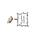 ▶︎動く！叫ぶマーモット【サンタver.】（個別スタンプ：24）