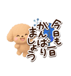トイプードル「アプリコット」3D【冬】（個別スタンプ：3）