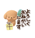 トイプードル「アプリコット」3D【冬】（個別スタンプ：5）