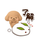 トイプードル「アプリコット」3D【冬】（個別スタンプ：6）