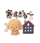トイプードル「アプリコット」3D【冬】（個別スタンプ：9）