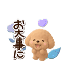 トイプードル「アプリコット」3D【冬】（個別スタンプ：11）