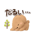 トイプードル「アプリコット」3D【冬】（個別スタンプ：12）