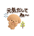 トイプードル「アプリコット」3D【冬】（個別スタンプ：13）