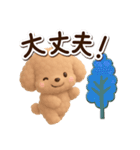 トイプードル「アプリコット」3D【冬】（個別スタンプ：18）