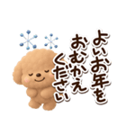 トイプードル「アプリコット」3D【冬】（個別スタンプ：29）